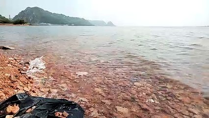 बीसलपुर का रोजाना एक सेमी की रफ्तार से घट रहा गेज