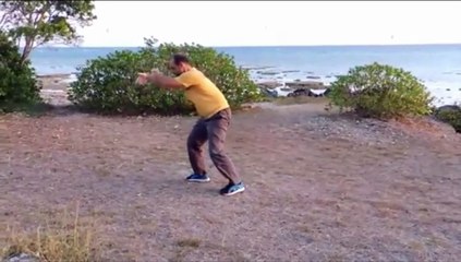 Tai Chi Chuan Yang 108 part 2 English version