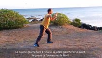 Tai Chi Chuan Yang 108 partie 1 version Française