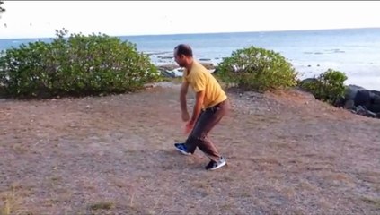 Tai Chi Chuan Yang 108 partie 2 version Française