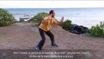 Tai Chi Chuan Yang 108 partie 3 version Française