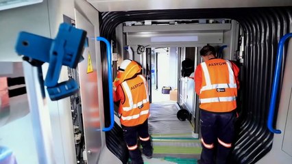 Avances en construcción del Tren Maya | Especiales Milenio