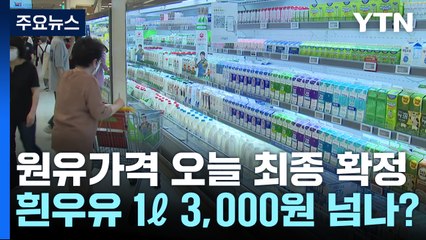 원윳값 오늘 최종 확정...흰우유 1L에 3천 원 넘나? [앵커리포트] / YTN