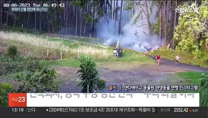 하와이 산불 원인 공방…손배소송 당한 전기회사 "전선 탓 아냐"