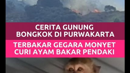 Cerita Gunung Bongkok di Purwakarta Terbakar