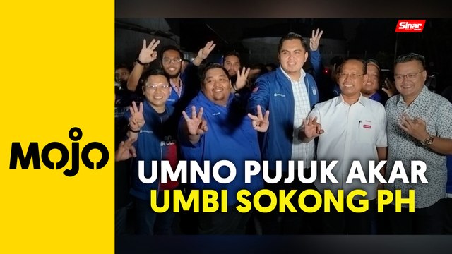PRK: Pemuda UMNO yakin dapat pujuk akar umbi pilih calon PH