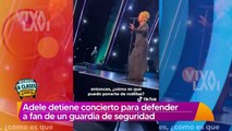 Adele detiene concierto para defender a fan de un guardia de seguridad