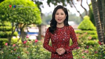 แวดวงทีวีเวียดนาม (ช่อง VTV Cần Thơ) (28 สิงหาคม 2023) (05.22 น.)