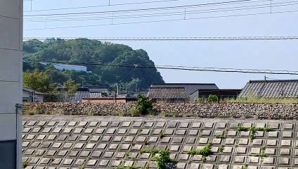 PXL_20230516_08/4658 67列車・67レ Train 67, 67 re.