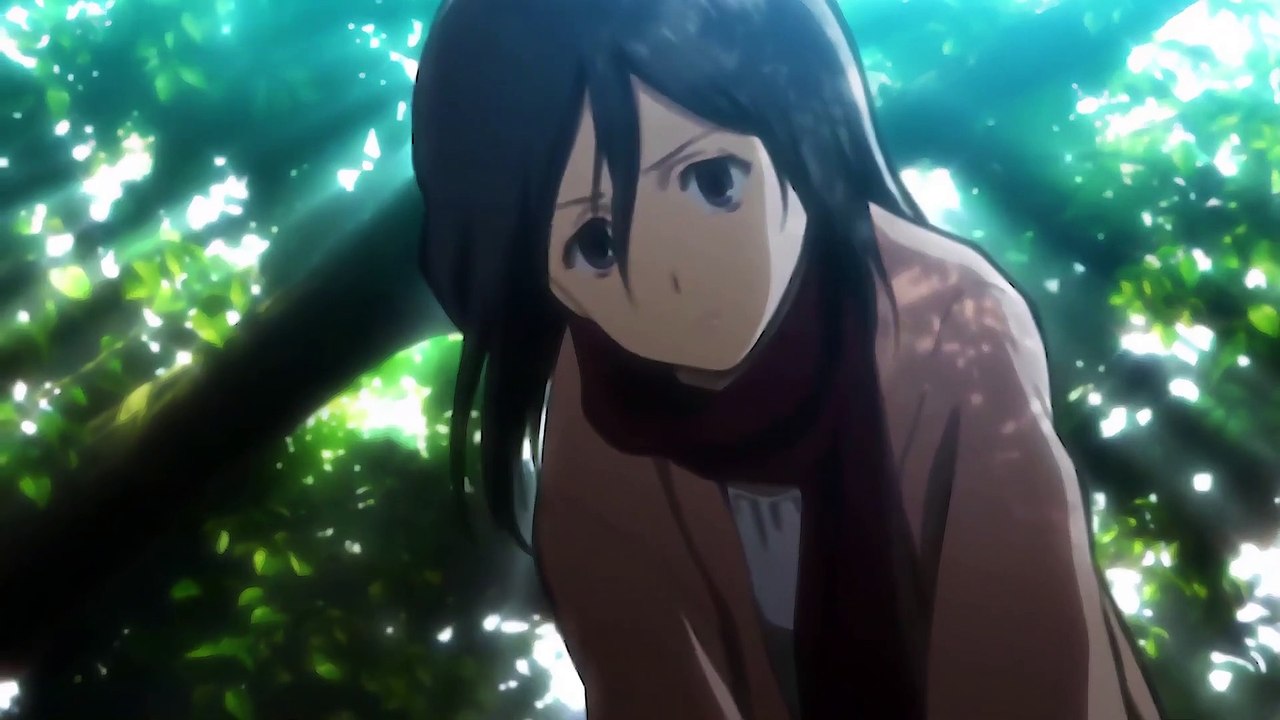 Mikasa - Attack on titan