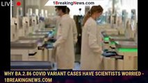 Why BA.2.86 covid variant cases have scientists worried - 1breakingnews.com