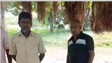 गया: अवैध बालू लदे तेज रफ्तार ट्रैक्टर से कुचलकर महिला की मौत, परिजनों ने...