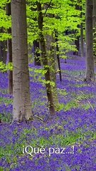 ASAMBLEA REGIONAL 2023...