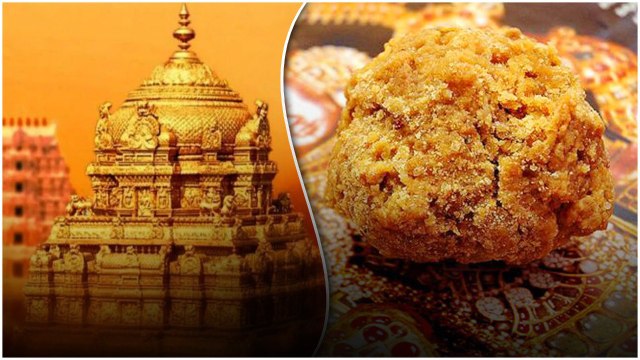 TTD .. Thirupati లడ్డూలకు ఇక నెయ్యి సరఫరా చెయ్యలేము... భీమా నాయక్..