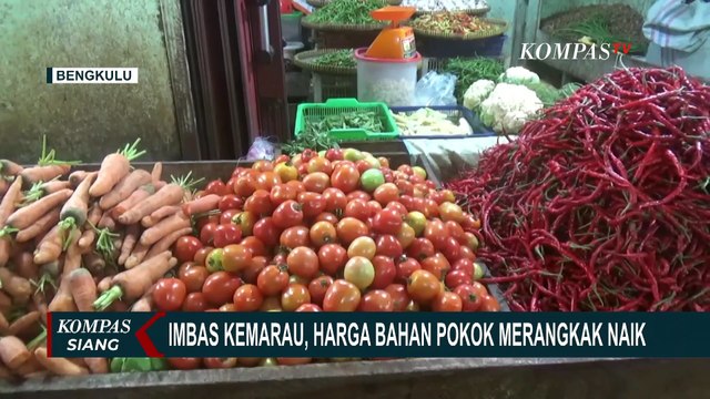 Imbas Kemarau, Harga Sayur dan Bumbu Dapur di Bengkulu Alami Kenaikan