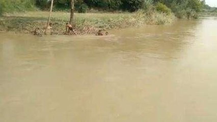 बरेली: बकरी चराने गया युवक पैर फिसलने से नदी में डूबा, हुई मौत