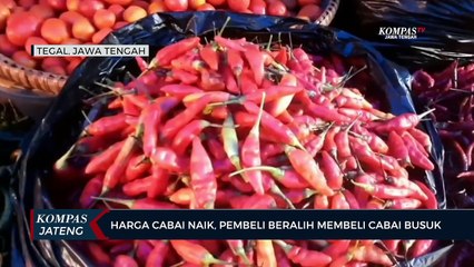 Harga Cabai Naik, Pembeli Beralih Membeli Cabai Busuk