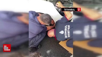 Güngören’de araç motoruna sıkışan kedi kurtarıldı