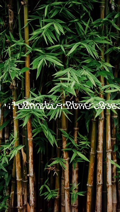 Bamboo and Wooden Tech Accessories .#shorts #bamboo #tech #natureperfection