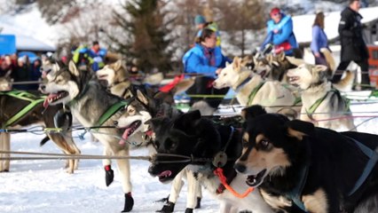 La Grande Odyssée VVF 2024 - Teaser (English)