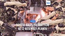 Toyota halts production in majority of factories in Japan over computer system failure