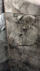 La confrontation ultime contre les arachnides