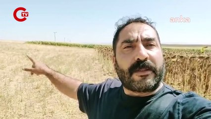 Konyalı çiftçi iktidara seslendi: Benim ürettiklerim neden kur karşısında korunmuyor?