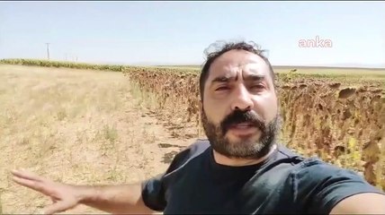 Réponse aux prix des agriculteurs et des producteurs de Konya