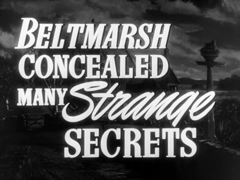 Le Poids d'un mensonge Bande-annonce VO