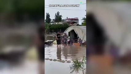 Bakmayan görmüyor... AKP'li Cumhurbaşkanı Erdoğan'ın 'çadırda kalan yok' dediği depremzedelerin çadırlarını su bastı