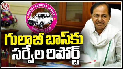 CM KCR Special Survey On BRS MLA List Candidates | V6 News