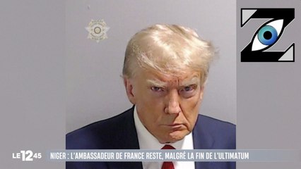 [Zap Tele] Donald Trump gagne 6,5 millions d'euros grâce à son mugshot ! (29/08/2023)