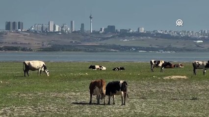 İstanbul için korkutan alarm! 2 aylık suyu kaldı
