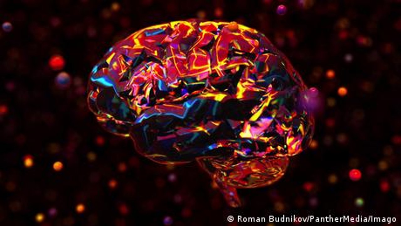 How does our brain process experiences in VR?