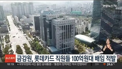 금감원, 롯데카드 직원들 100억원대 배임 적발