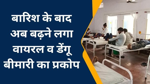 सीकर: बारिश के बाद बढ़ा डेंगू व मलेरिया का प्रकोप, जानिए चिकित्सकों ने दी यह सलाह
