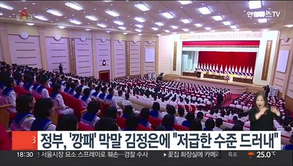정부, '깡패' 막말한 김정은에 "저급한 수준 드러내"