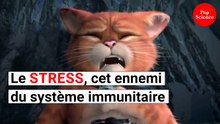 Et si le stress jouait un rôle face au cancer?