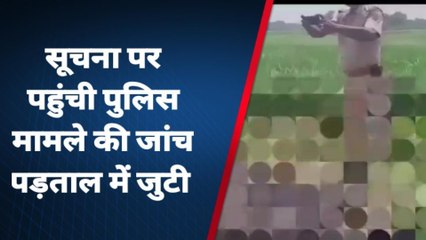 बदायूं : आवारा गोवंश की गोली मारकर हत्या हमलावर मौके से फरार