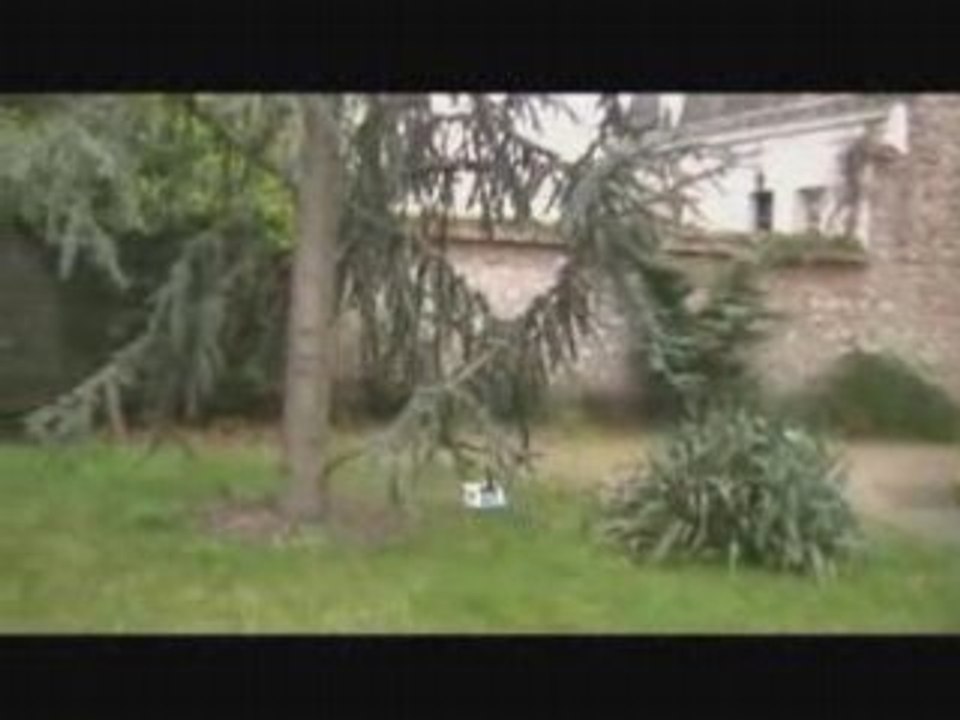 25° vol Twister Hawk sans fusellage