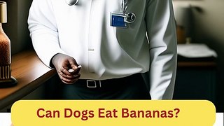 Can Dogs Eat Bananas