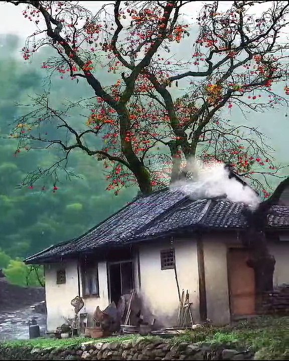 Life is a Nature