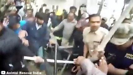 30 Scariest Animal Encounters of The Year (Part 3)