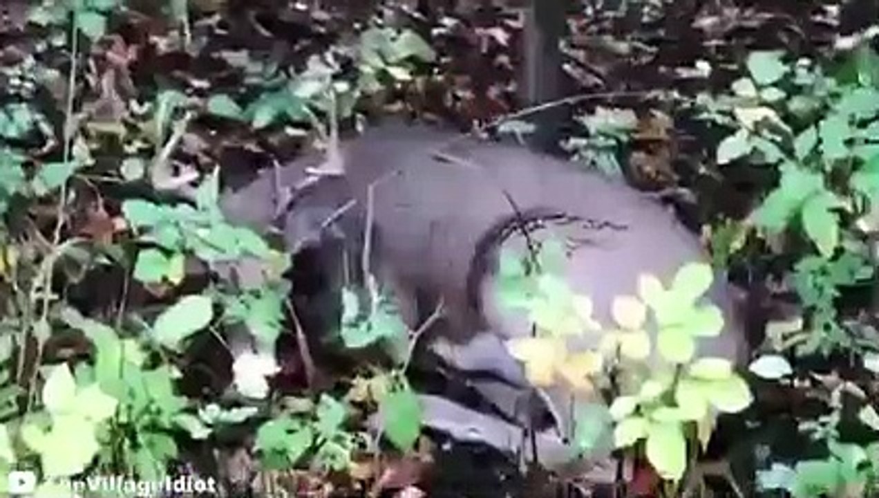 30 Times Hunters Messed With The Wrong Animals (2)