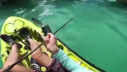 30 Scariest Shark Encounters of The Year