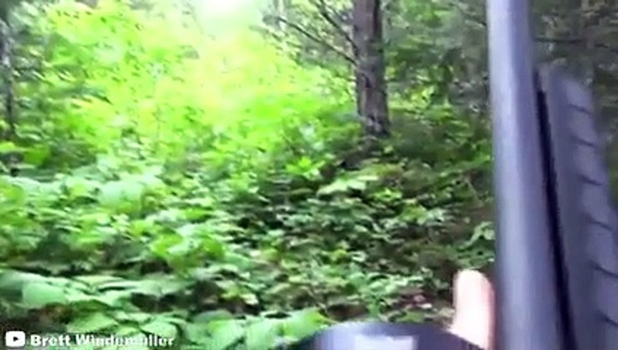 12 Times Hunters Messed With The Wrong Animals (Part 3)