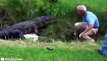 30 Scariest Crocodile Encounters of the Year (Part 2)