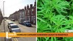 Leeds headlines 29 August: Homeless cannabis gardener jailed after Wakefield raid