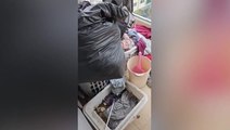 Shocked landlord finds unwashed clothes and ‘filthy cat litter’ while inspecting tenant’s room