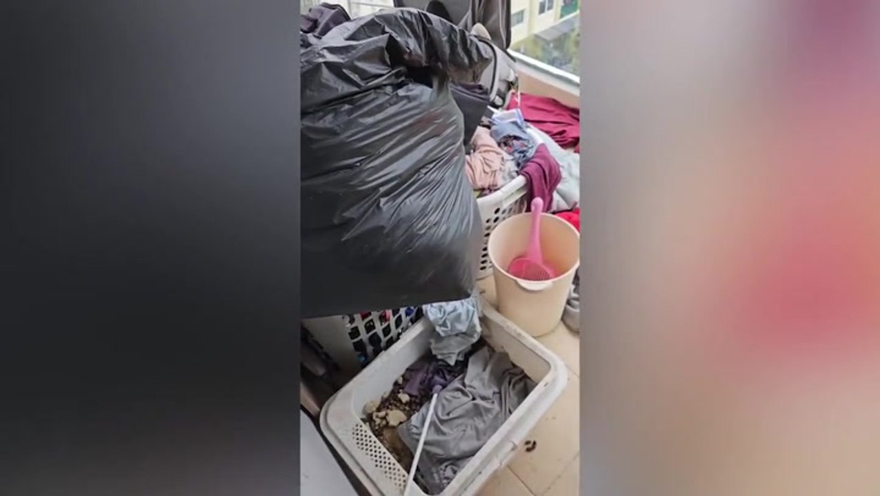 Shocked landlord finds unwashed clothes and ‘filthy cat litter’ while inspecting tenant’s room